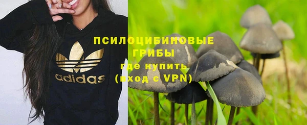 каннабис Верея